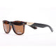 Classic Wayfarer Frame Sunglasses